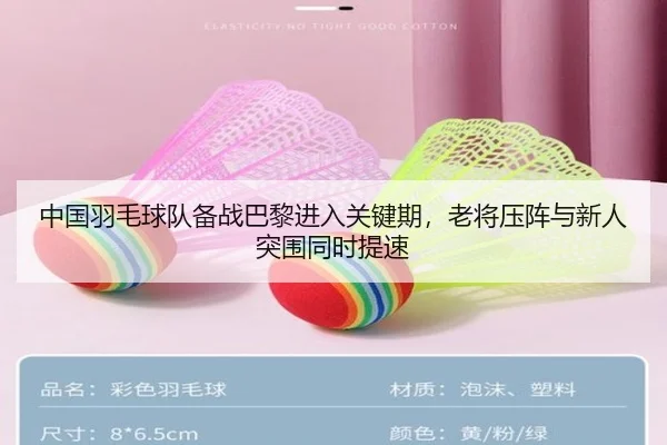 中国羽毛球队备战巴黎进入关键期，老将压阵与新人突围同时提速